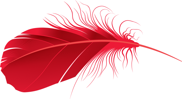 Reddish Feather Png Image