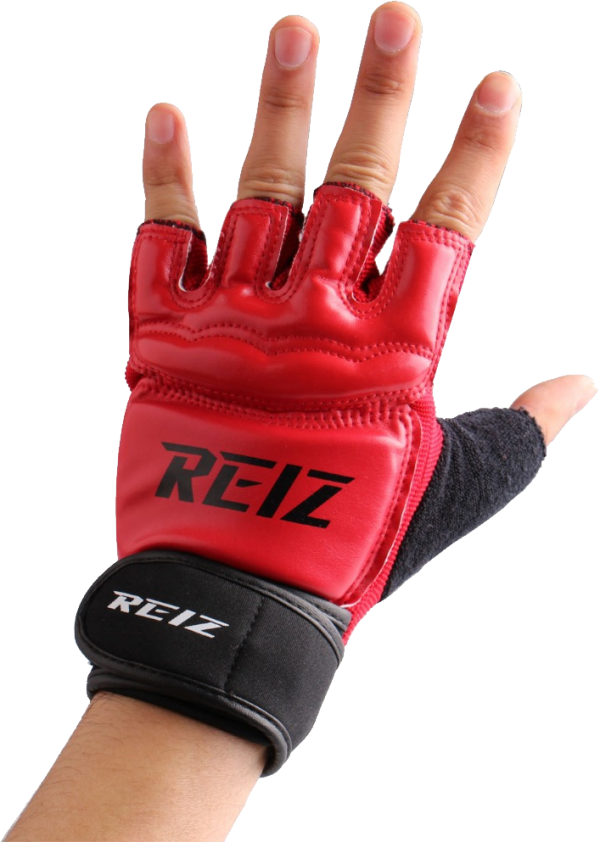 reiz boxing gloves free png download