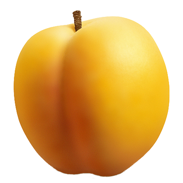 Round Apricot Png Download