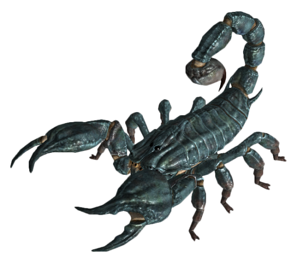 Scorpion PNG Free Download 13