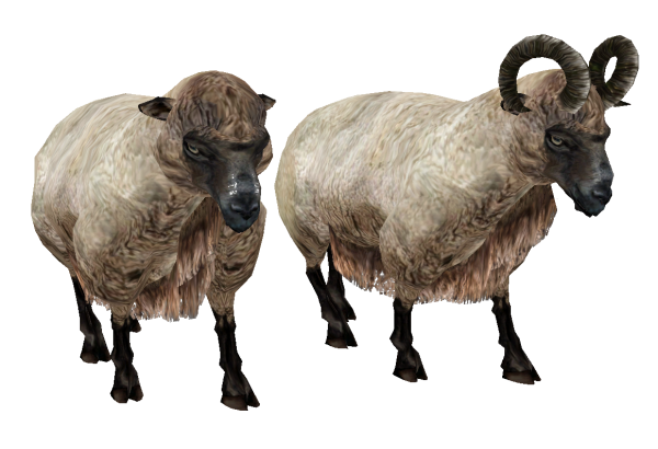 Sheep PNG Free Download 3