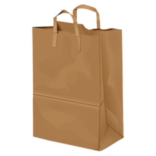 Shopping Bag PNG Free Download 16