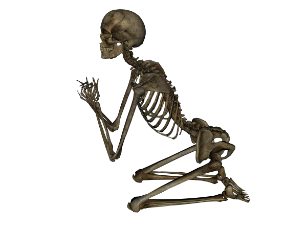 Skeleton PNG Free Download 11