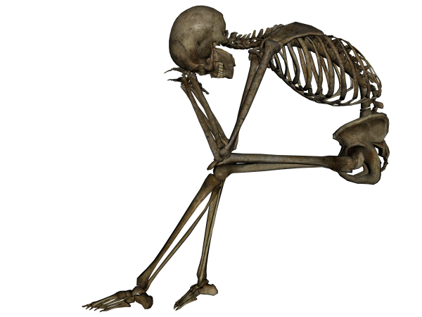 Skeleton PNG Free Download 12
