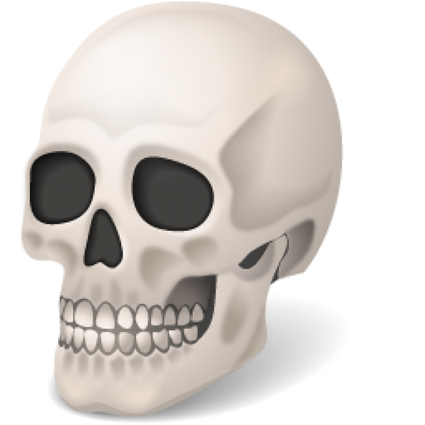 Skeleton PNG Free Download 14