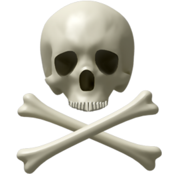 Skeleton PNG Free Download 15