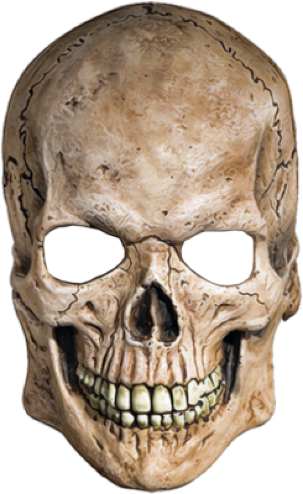 Skeleton PNG Free Download 16