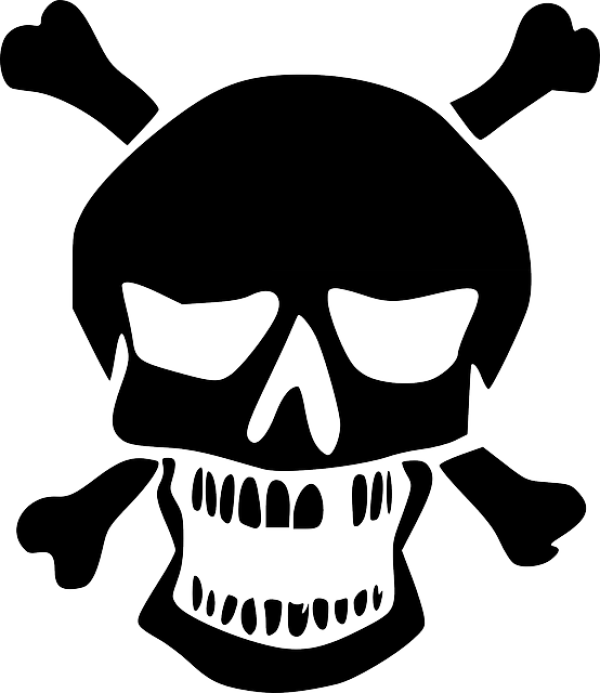 Skeleton PNG Free Download 27