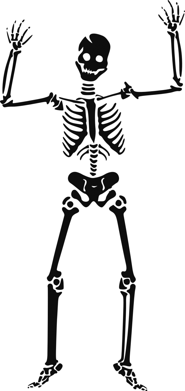 Skeleton PNG Free Download 29