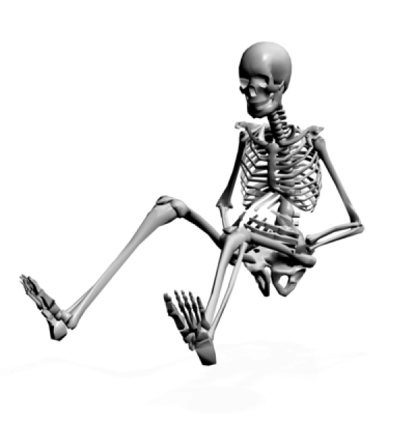 Skeleton PNG Free Download 30
