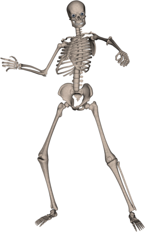 Skeleton PNG Free Download 4