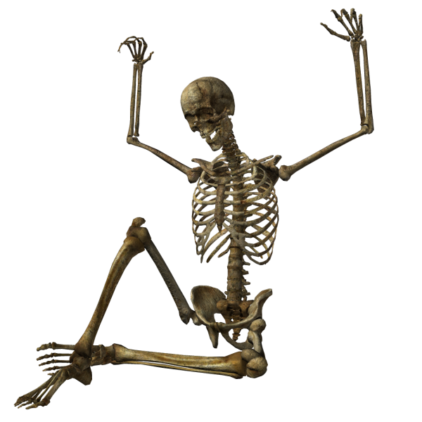 Skeleton PNG Free Download 5