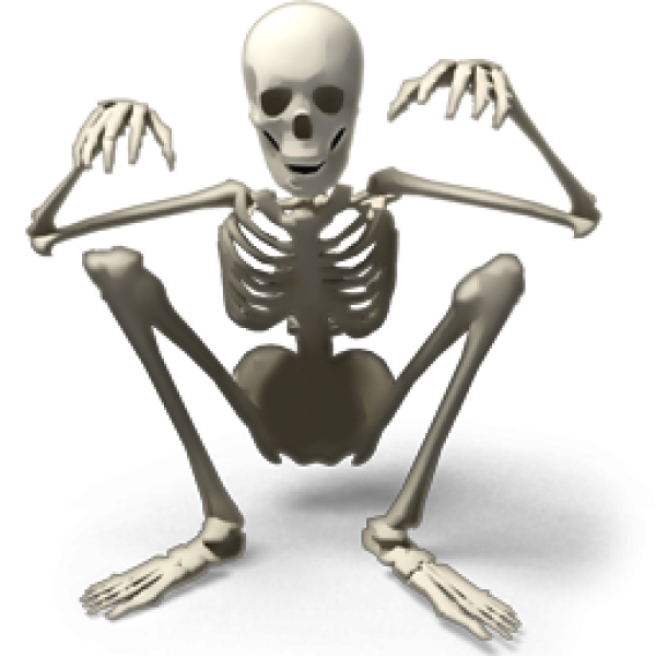 Skeleton PNG Free Download 8