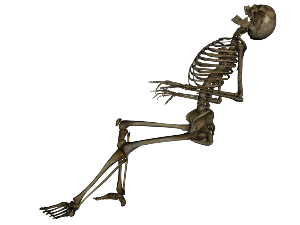 Skeleton PNG Free Download 9