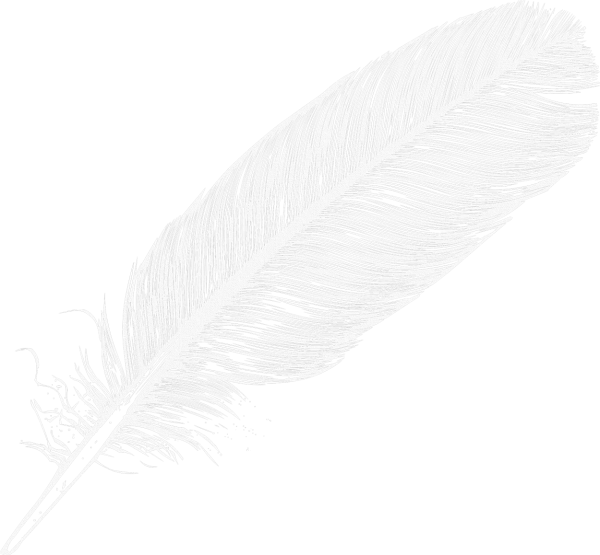 Sketched HD feather png image