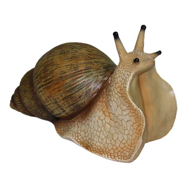 Snails PNG Free Download 1