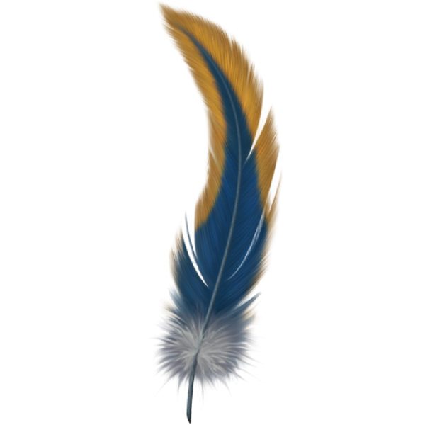 Snake like Feather Png Image