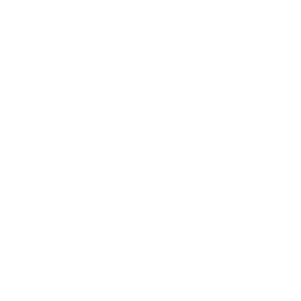 Snow Flakes PNG Free Download 36