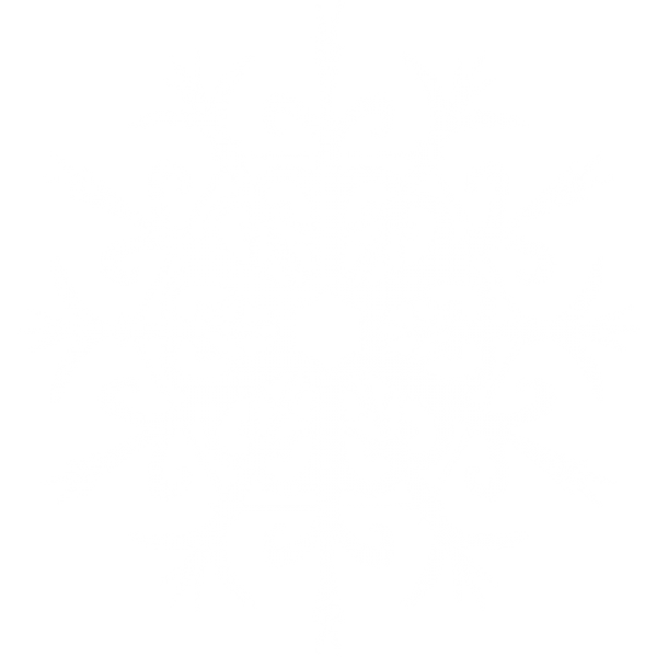 Snow Flakes PNG Free Download 39