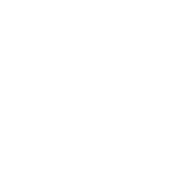 Snow Flakes PNG Free Download 43