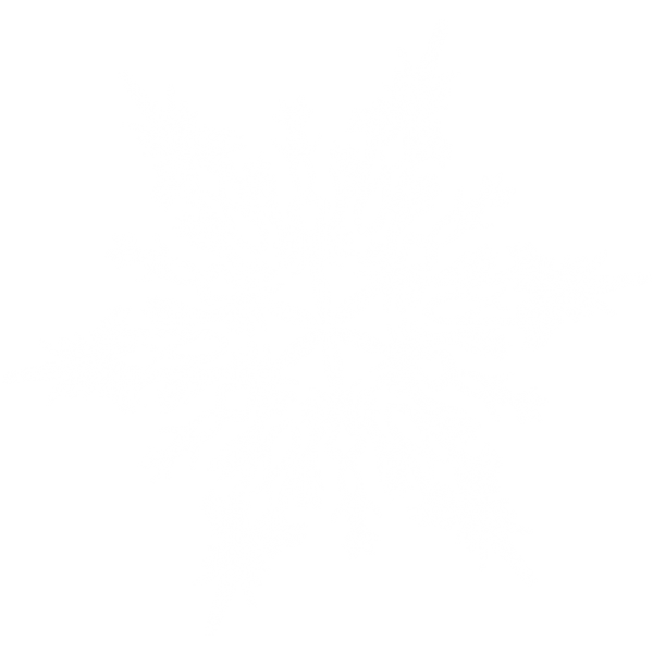 Snow Flakes PNG Free Download 46