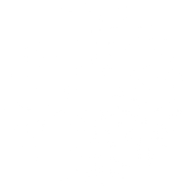 Snow Flakes PNG Free Download 49