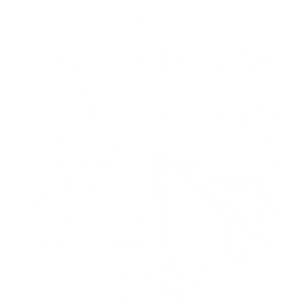 Snow Flakes PNG Free Download 50