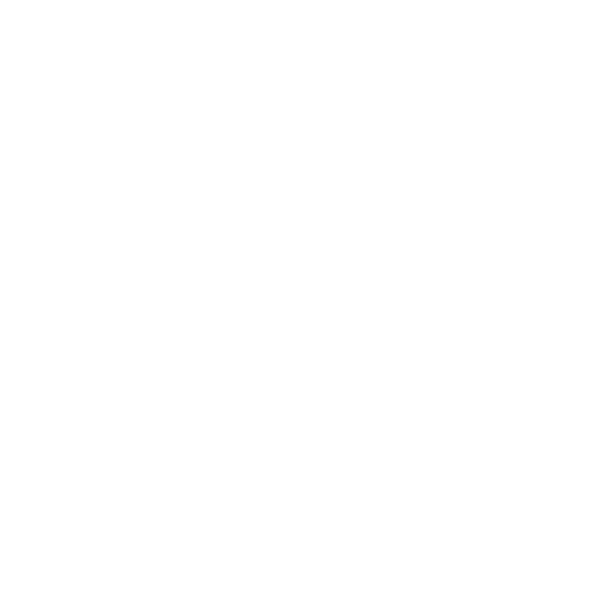 Snow Flakes PNG Free Download 51