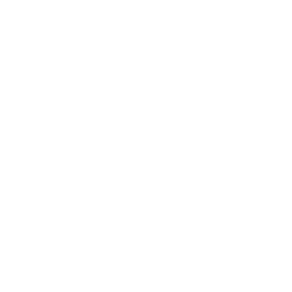 Snow Flakes PNG Free Download 60