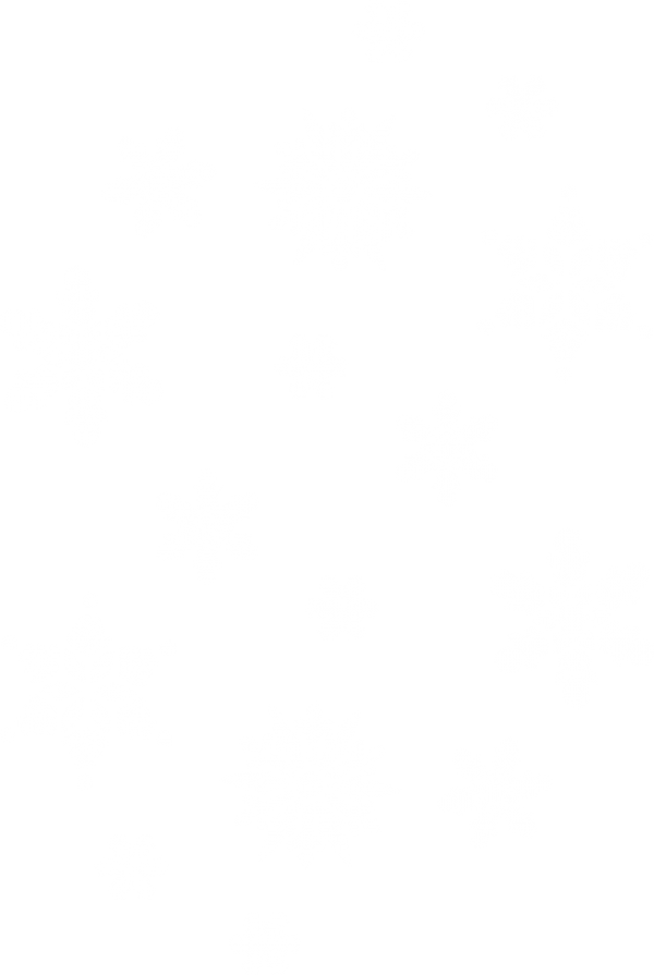 Snow Flakes PNG Free Download 69
