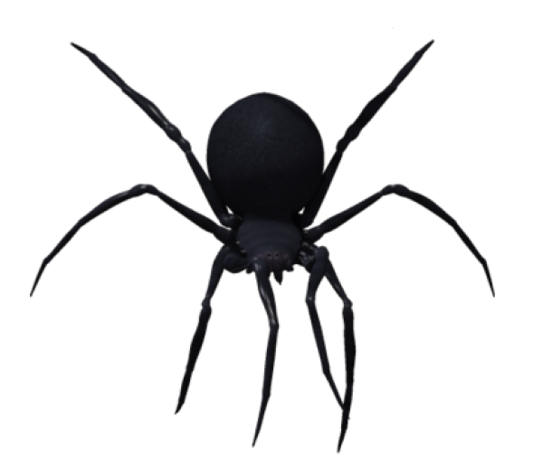 Spider PNG Free Download 18