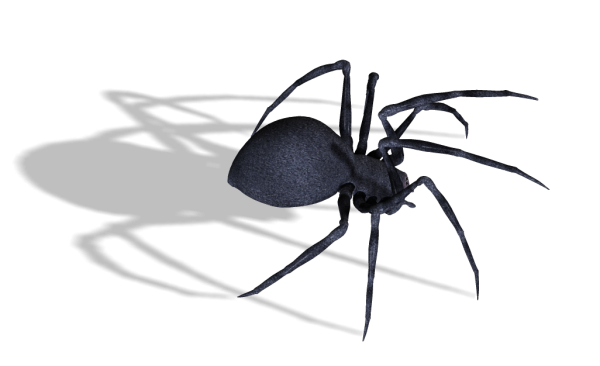 Spider PNG Free Download 20