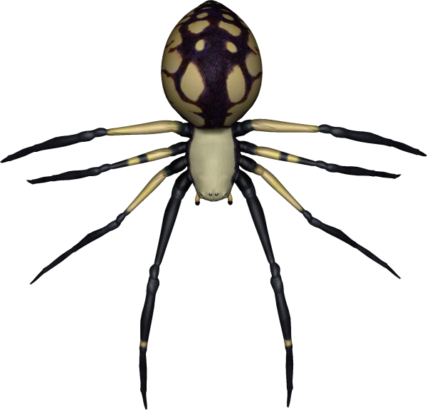 Spider PNG Free Download 35