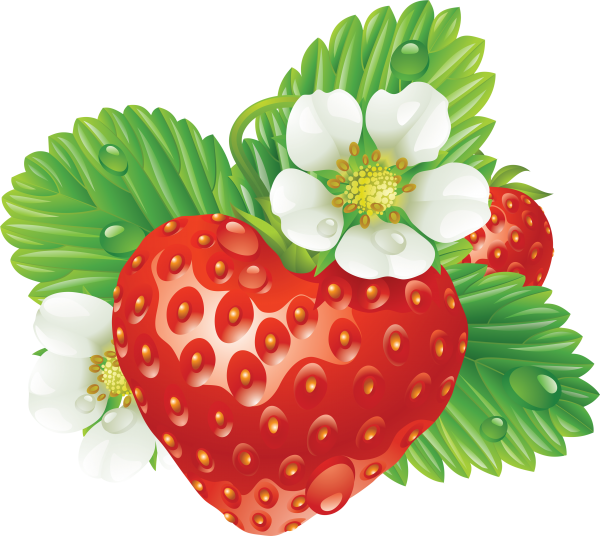 Strawberry PNG Free Download 26