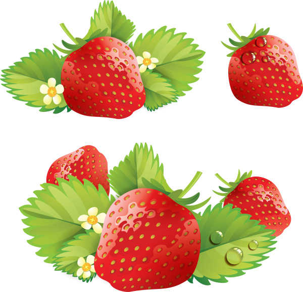 Strawberry PNG Free Download 27