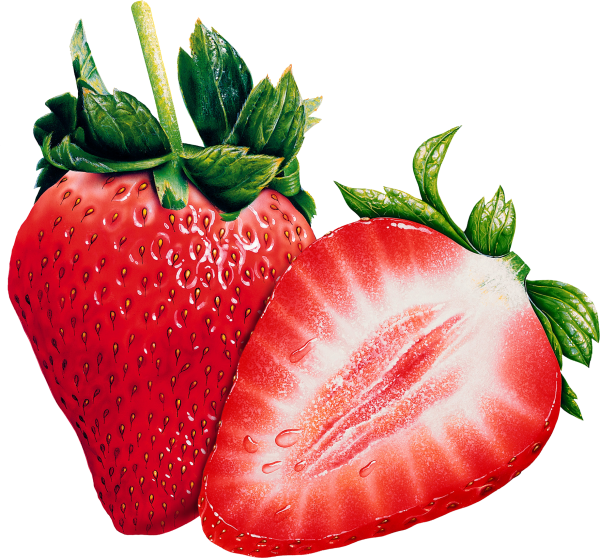 Strawberry PNG Free Download 28