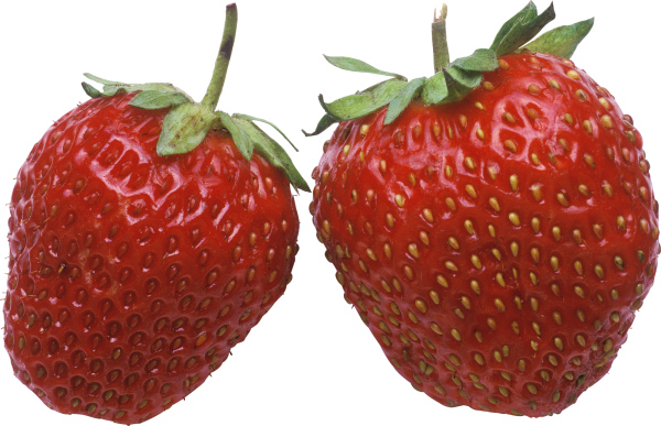 Strawberry PNG Free Download 34