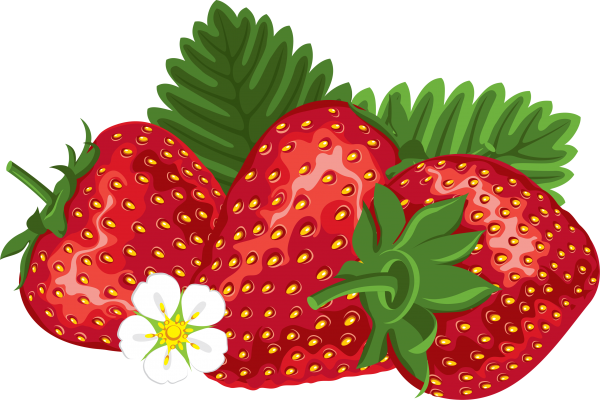 Strawberry PNG Free Download 39