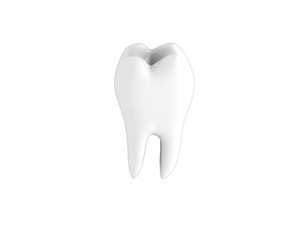 Teeth PNG Free Download 16