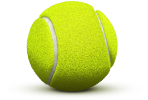 Tennis PNG Free Download 29