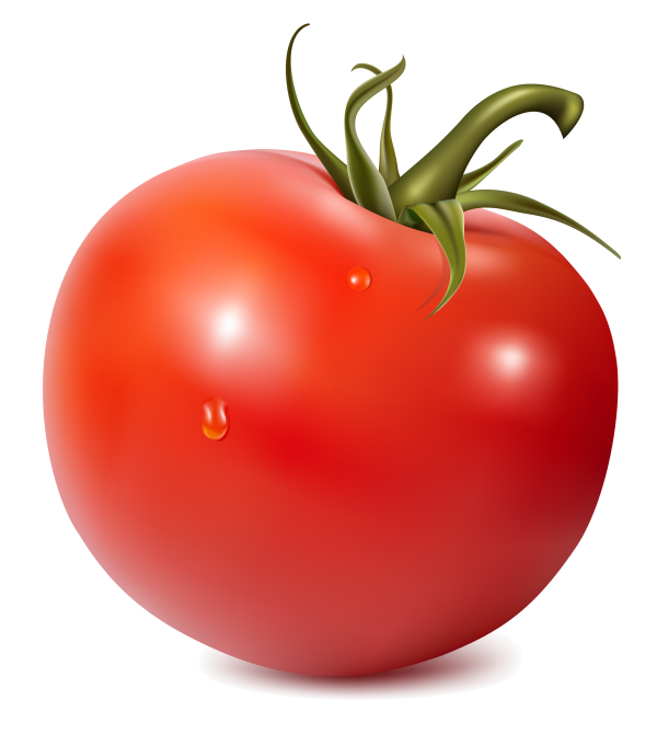 Tomato PNG Free Download 1