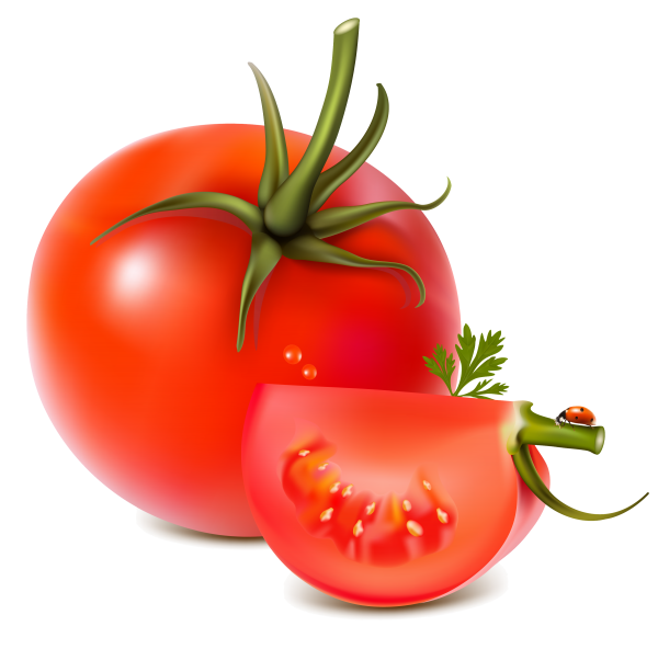 Tomato PNG Free Download 12