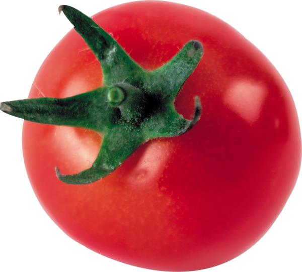 Tomato PNG Free Download 13