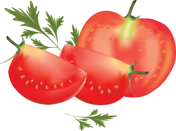 Tomato PNG Free Download 16