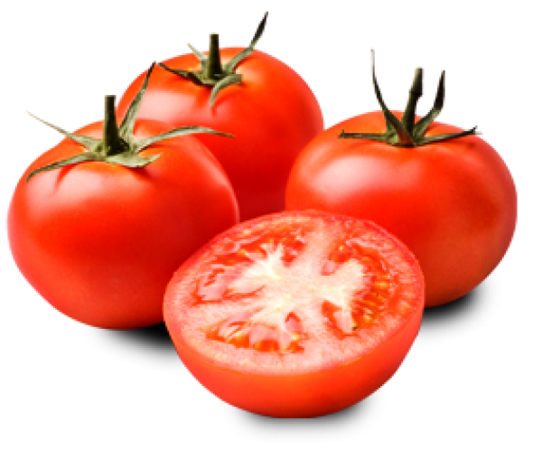 Tomato PNG Free Download 17