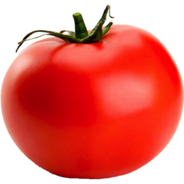 Tomato PNG Free Download 2