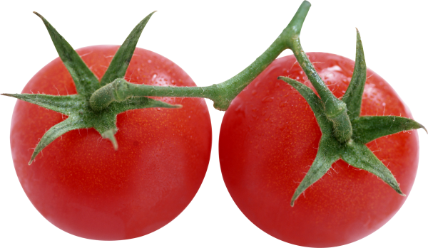 Tomato PNG Free Download 20