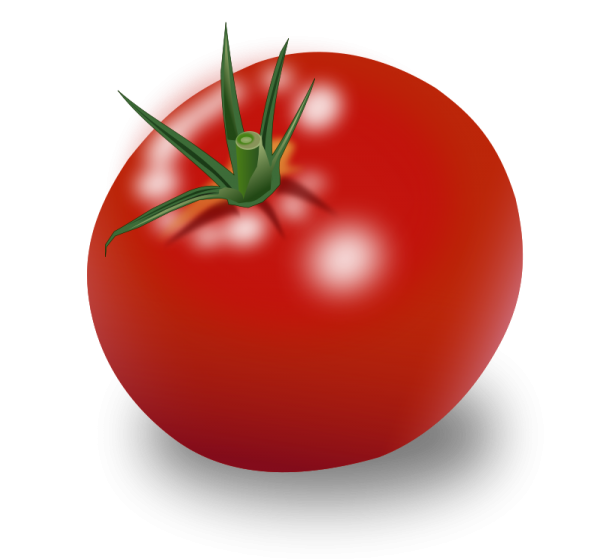Tomato PNG Free Download 21