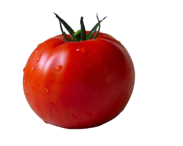 Tomato PNG Free Download 24