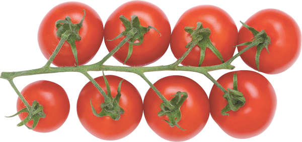 Tomato PNG Free Download 27